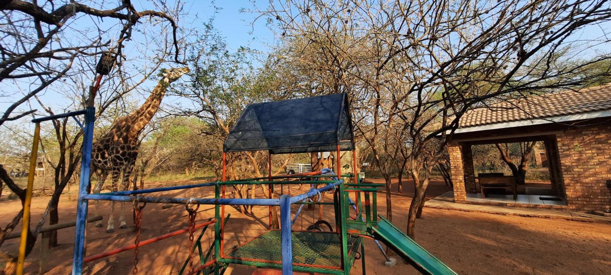 462 Bosbok Chalets Marloth Park Room photo